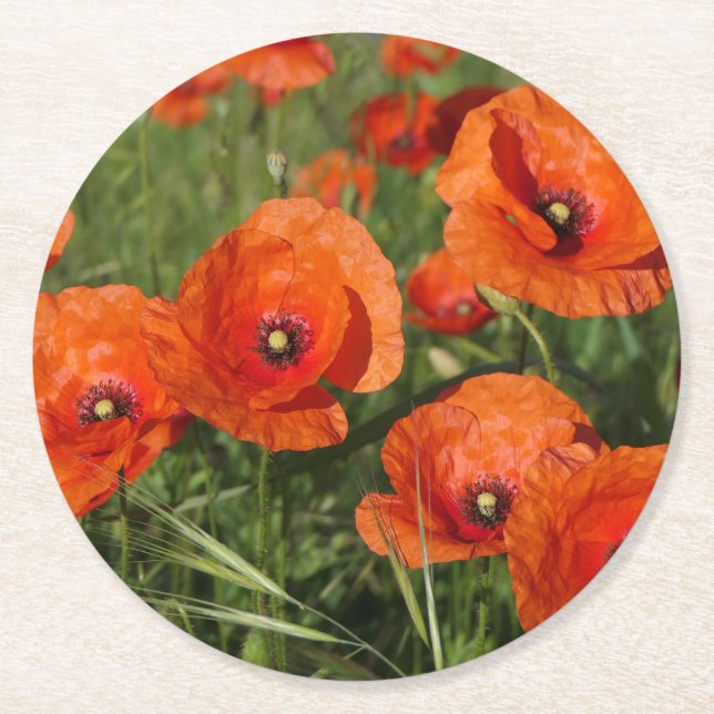 Klatschmohn  runder pappuntersetzer (Vorderseite)