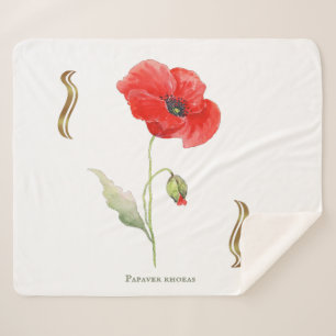Klatschmohn Sherpadecke