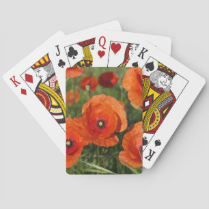 Klatschmohn spielkarten