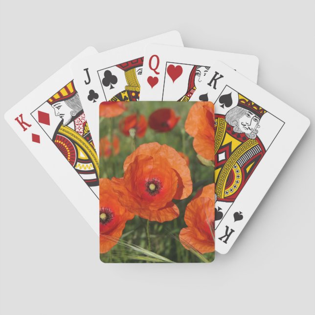 Klatschmohn  spielkarten (Rückseite)
