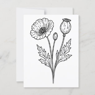 Klatschmohnblüten Botanische Blütenlinie Kunst Postkarte