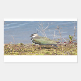 Klatschweibchen Rechteckiger Aufkleber