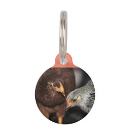 Klatschzeit Haustiermarke