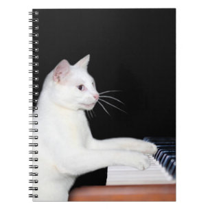 Klavier, das Katze spielt Notizblock