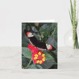 Klavier-Schlüsselschmetterling Notecard Karte
