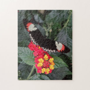 Klavier-Schlüsselschmetterlings-Puzzlespiel Puzzle