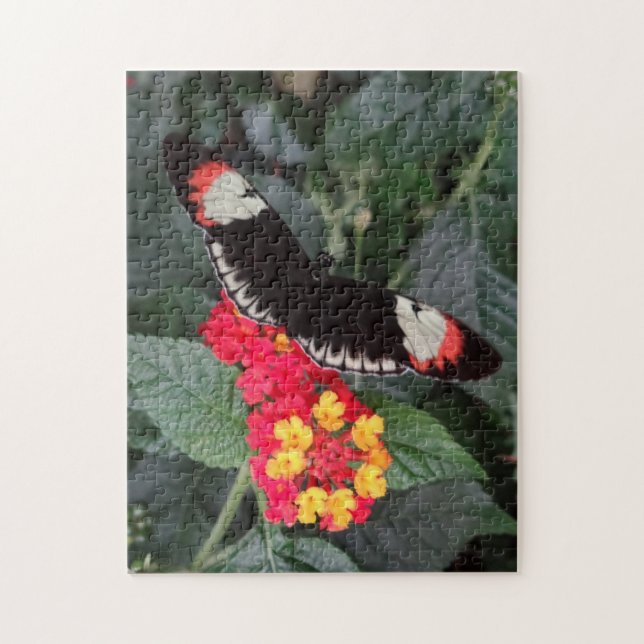 Klavier-Schlüsselschmetterlings-Puzzlespiel Puzzle (Vertikal)