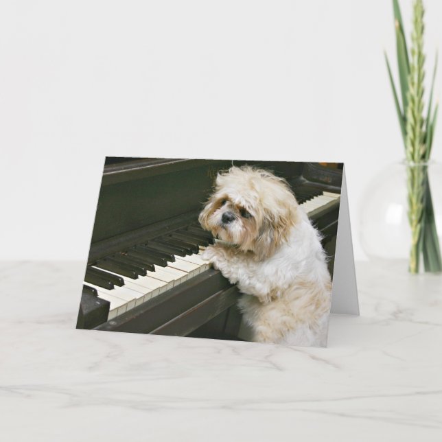 Klavierspieler Karte (Vorderseite)