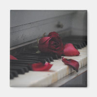 Klaviertasten mit Rote Rose