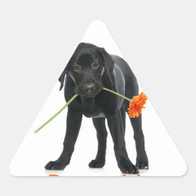 klebe Hund/Blume Dreieckiger Aufkleber (Vorderseite)