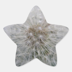 Kleber für die Blume von Kronleuchten Stern-Aufkleber