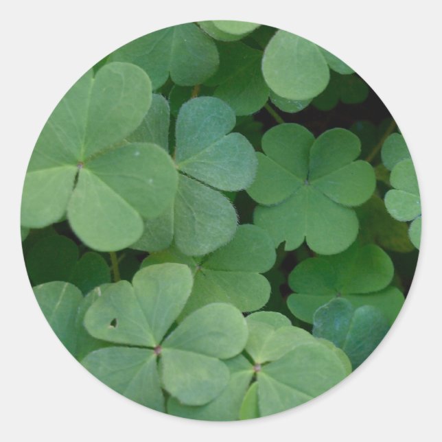 Kleberkleber Runder Aufkleber (Vorderseite)