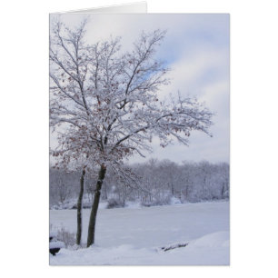 Klebrige Schnee 24 ~ Karte