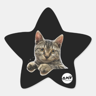 Klebstoff Stern-Aufkleber