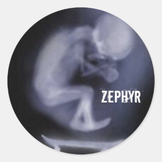klebstoff Zephyr Skateboard Runder Aufkleber
