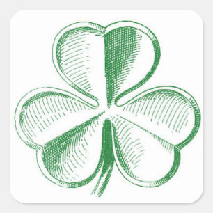 Klee-Aufkleber Quadratischer Aufkleber