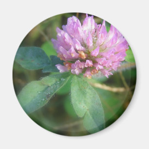 Klee Magnet