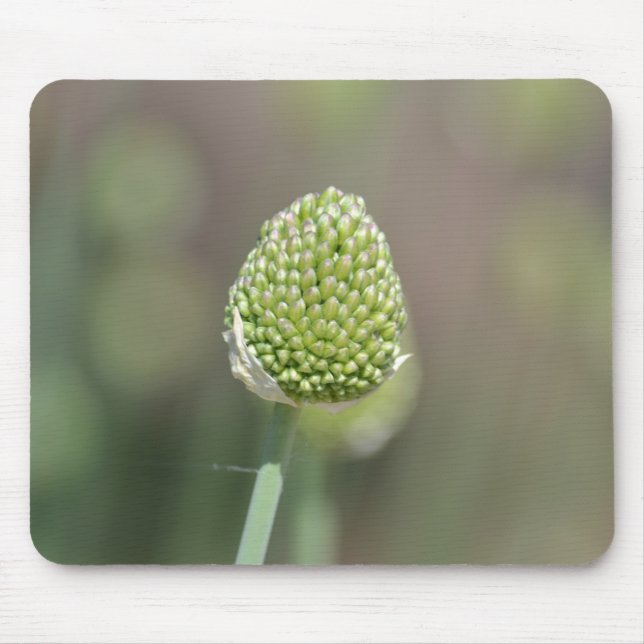 Klee Mousepad (Vorne)