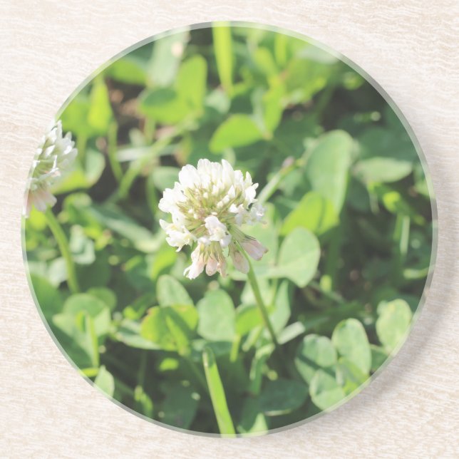 Klee und Blume Untersetzer (Vorne)