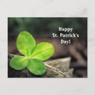 Kleeblatt 2 St. Patrick's Day Postcard Postkarte