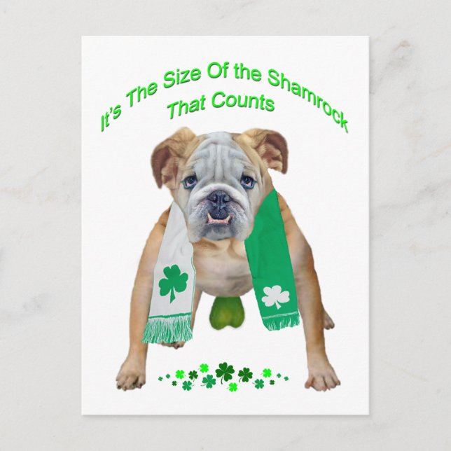 Kleeblatt Bulldog St. Patrick's Day Postkarte (Vorderseite)