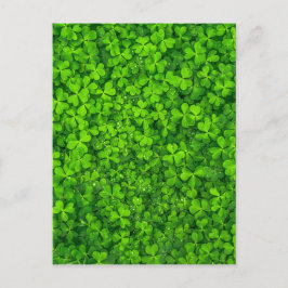 Kleeblatt Clovers Green Irish Symbol Irland Postkarte