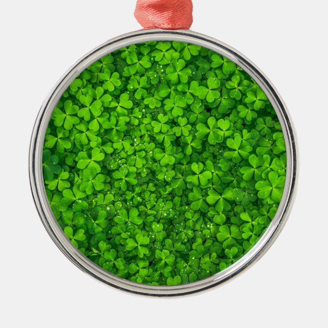 Kleeblatt Clovers Green Irish Symbol Irland Silbernes Ornament (Vorne)