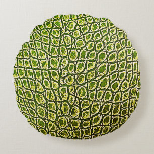KLEEBLATT GATOR ROUND PILLOW RUNDES KISSEN