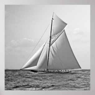 Kleeblatt II an äußerem Kennzeichen BW 1901 Poster