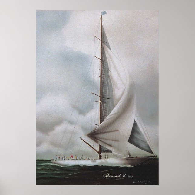 KLEEBLATT IV POSTER (Vorne)