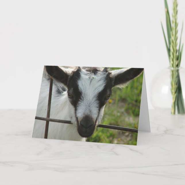 Kleeblatt Karte (Vorderseite)