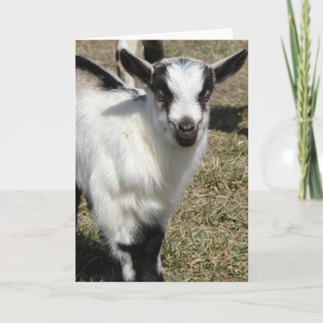 Kleeblatt Karte (Vorderseite)