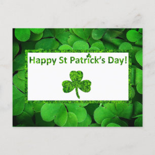 Kleeblatt St Patrick's Day Feiertagspostkarte