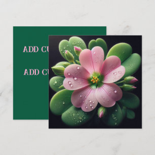 Kleeblattfarben und grüne Oxalis-Karte