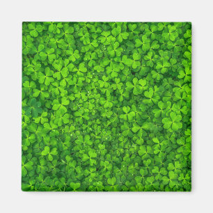 Kleeblattgrün, St. Patrick's Day, Magnet