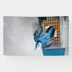 Kleiber im Schnee - Originalfoto Banner