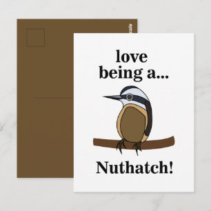 Kleiber-Vogel-Garten-Vogelbeobachter Postkarte