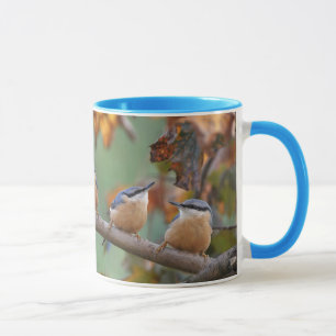 Kleibercollage Tasse