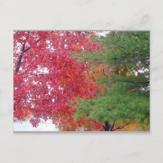 Kleid (um der Stimmung anzupassen) Postkarte