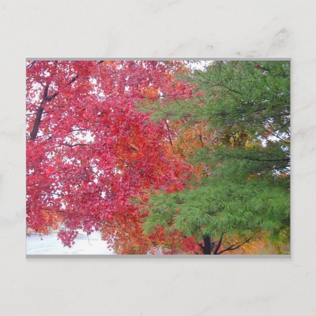 Kleid (um der Stimmung anzupassen) Postkarte (Vorderseite)