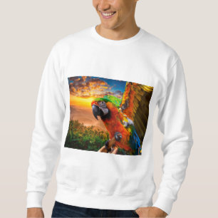 Kleidung und Schuhe > Männer > Kleidung > Schuhe & Sweatshirt