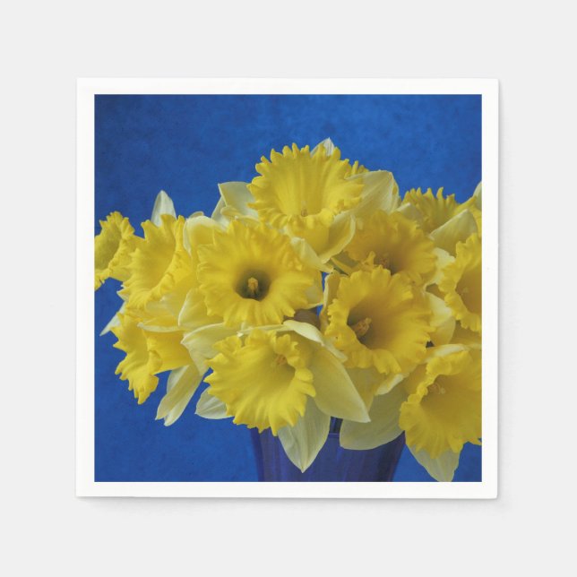 Kleidungsstücke auf blau serviette (Vorderseite)