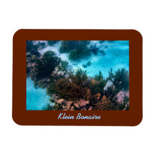 Klein Bonaire Reef Magnet
