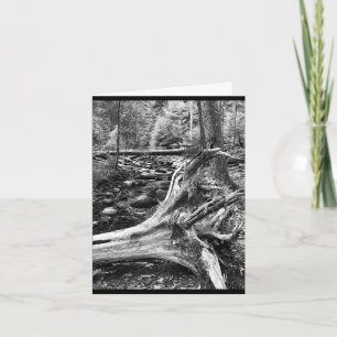 Kleine, 4" x 5,6" geklappte Grußkarte Karte