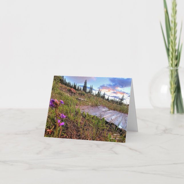 Kleine, 4" x 5,6" geklappte Note Card (Vorderseite)