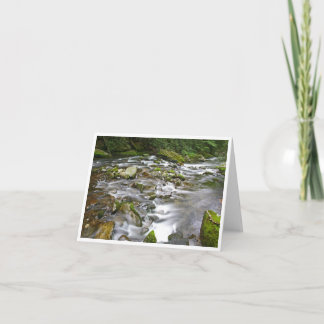 Kleine, 4" x 5,6" geklappte Note Card