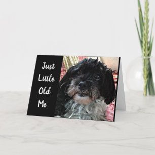 KLEINE ALTE MICH FRAGE **WIE SIND SIE?*** KARTE