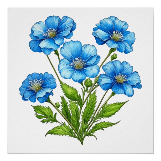Kleine Blaue Blumen Poster (Vorderseite)