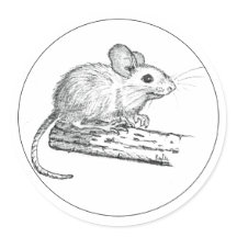 Kleine Bleistiftmaus