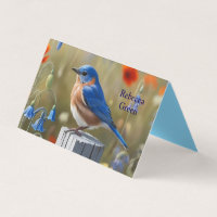 Kleine Blue Bird-Klappkarte